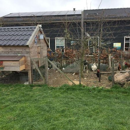 Hoeve Cornelia Berkel en Rodenrijs Экстерьер фото